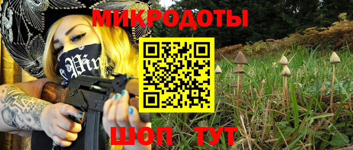 Заинск  Галлюциногенные грибы Psilocybine cubensis  Вход с VPN 